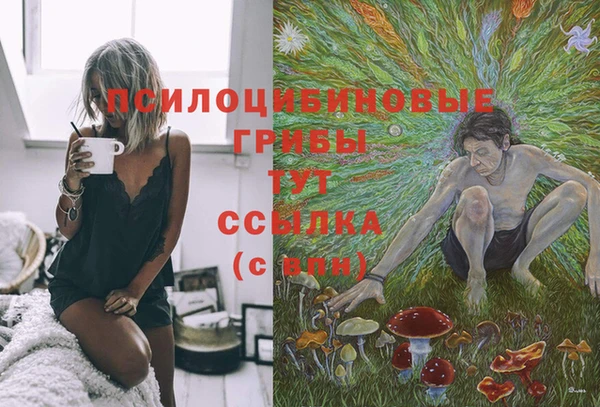 метамфетамин Белокуриха
