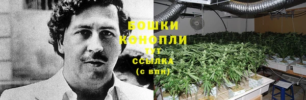 каннабис Белоозёрский