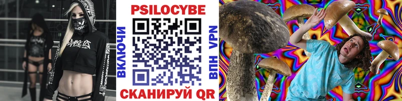 где продают наркотики  Харовск  Псилоцибиновые грибы мухоморы 